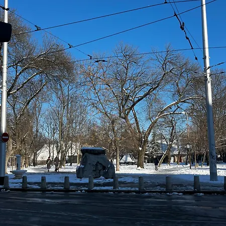 Casa Del Rey София