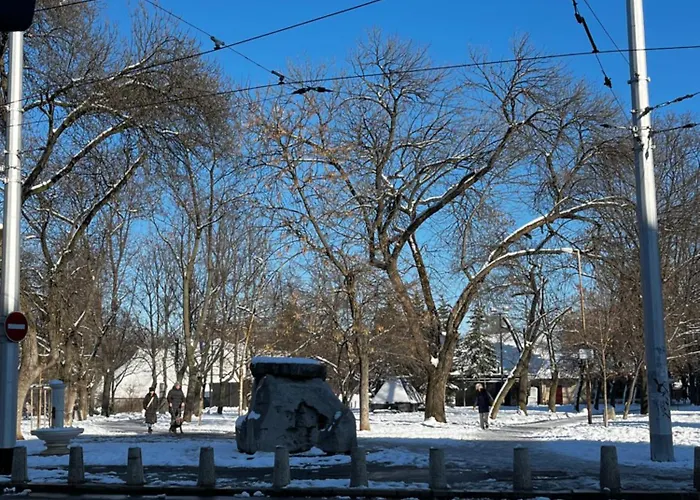 Casa Del Rey ソフィア